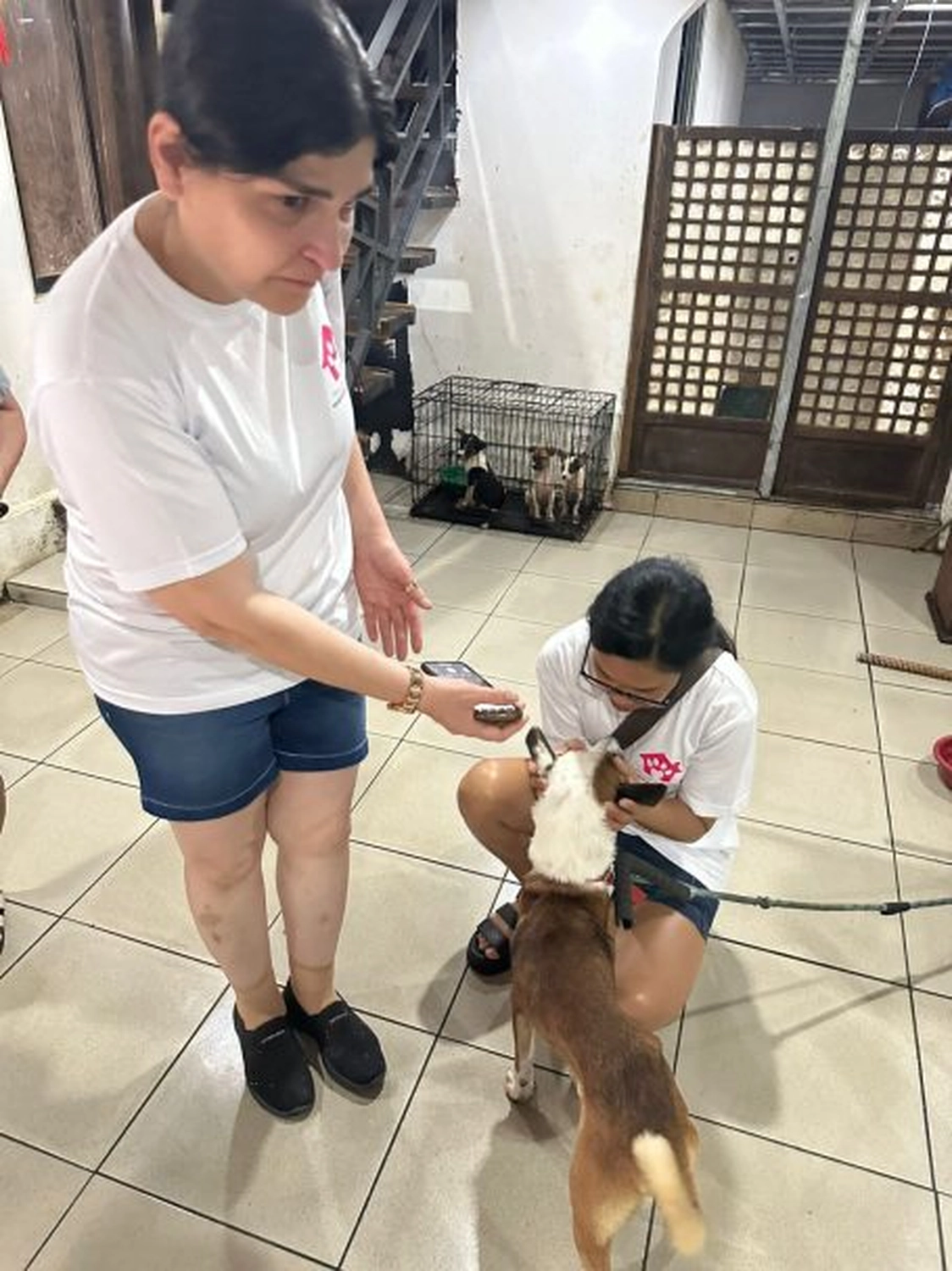 House of Care Germany gemeinnützige UG – Tierbetreuung – Maxx’s Furry Friends Tierheim