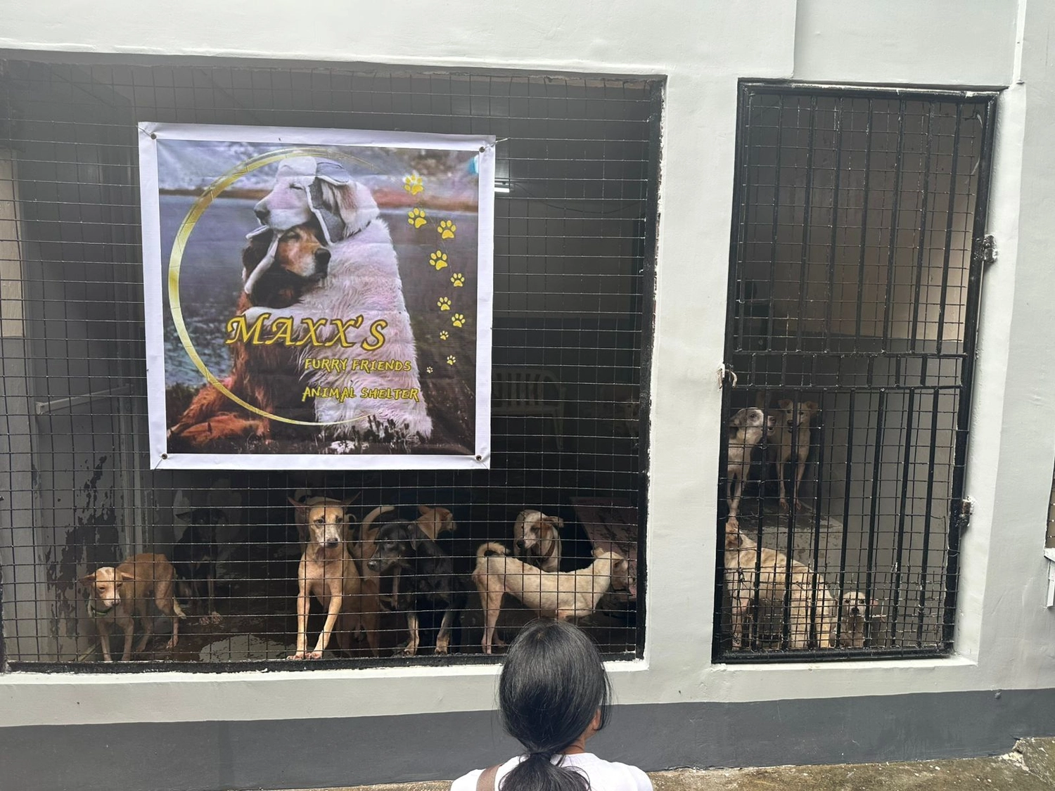 House of Care Germany gemeinnützige UG – Tierbetreuung – Maxx’s Furry Friends Tierheim