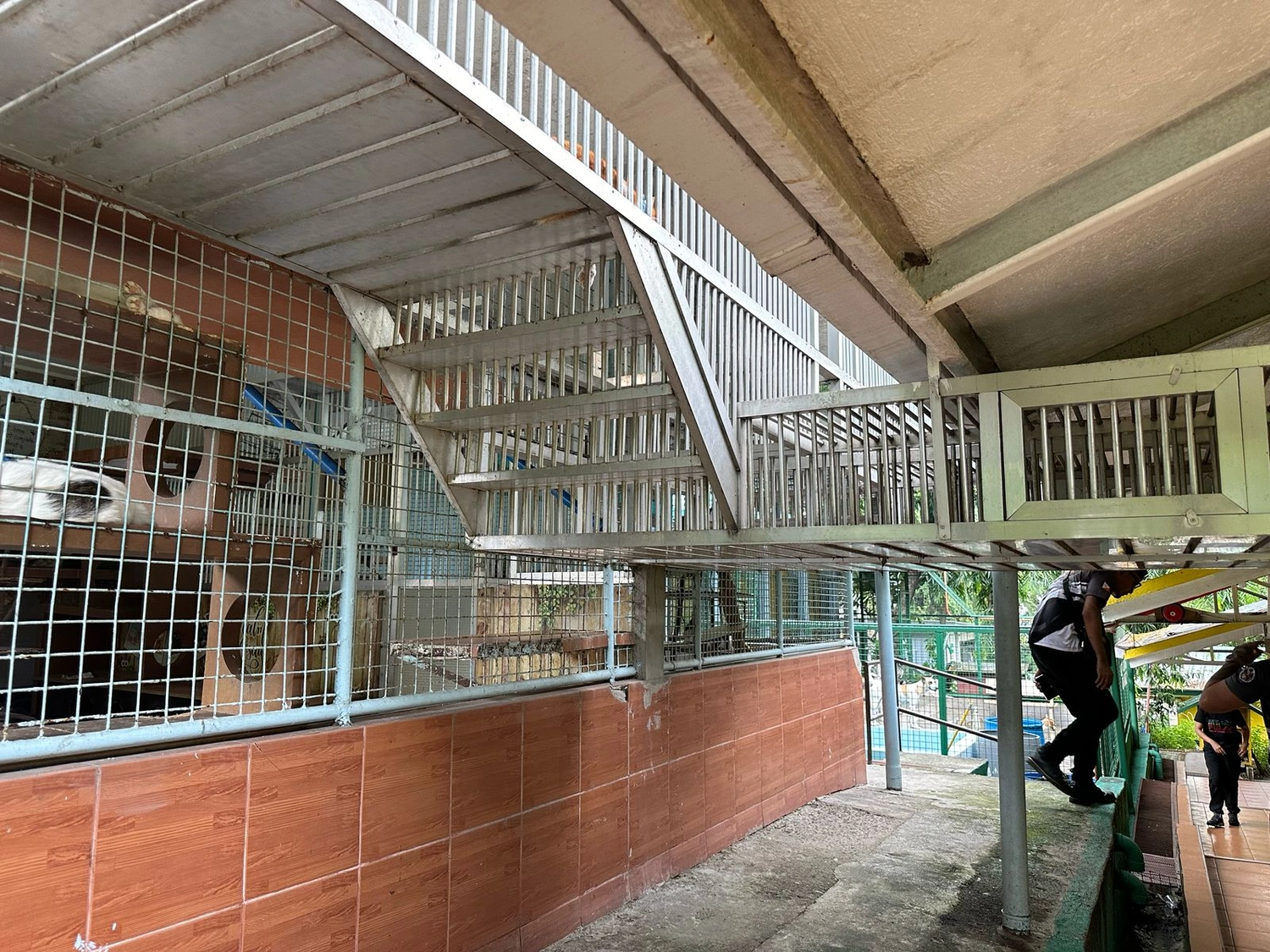 House of Care Germany gemeinnützige UG - Tierbetreuungsdienst - Hund