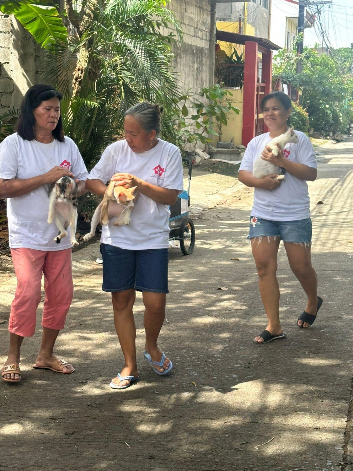 House of Care Germany gemeinnützige UG – Tierbetreuung – Team